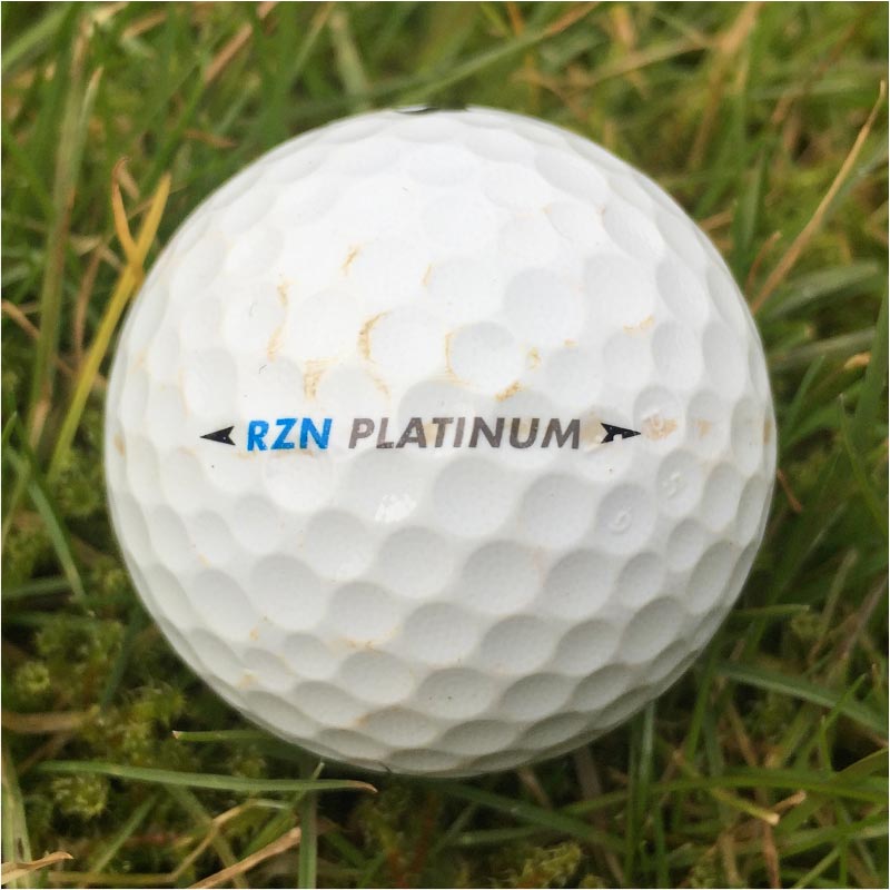 Nike RZN Platinium
